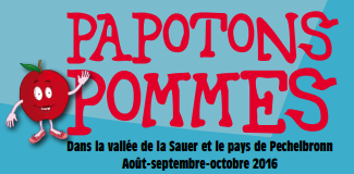 Papotons pommes